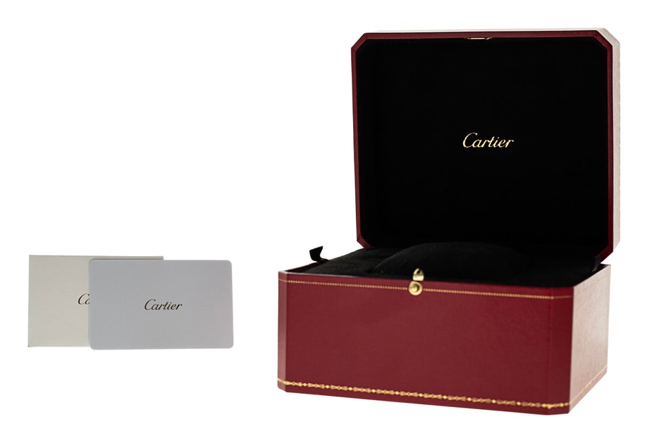 Cartier Santos 100 W20106X8 Image 4